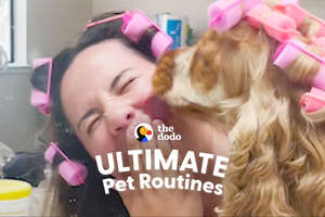 Ultimate Pet Routines With Milo Quevedo