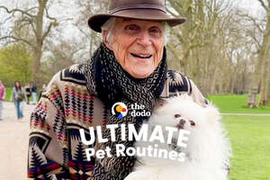 Ultimate Pet Routines with Dad and Dolly