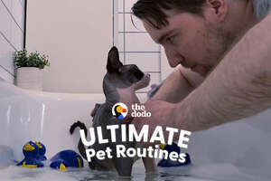 Watch This Guy Give His Cat a Bubble Bath