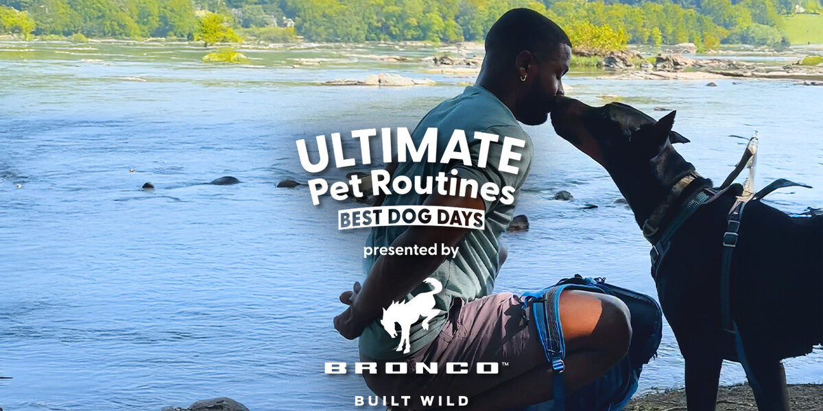 Guy Takes His Dog Out For the Best Adventure Day - Videos - The Dodo