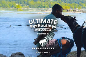Guy Takes His Dog Out For the Best Adventure Day