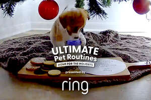 Foster Puppy Gets Caught On Camera Destroying Santa's Cookies