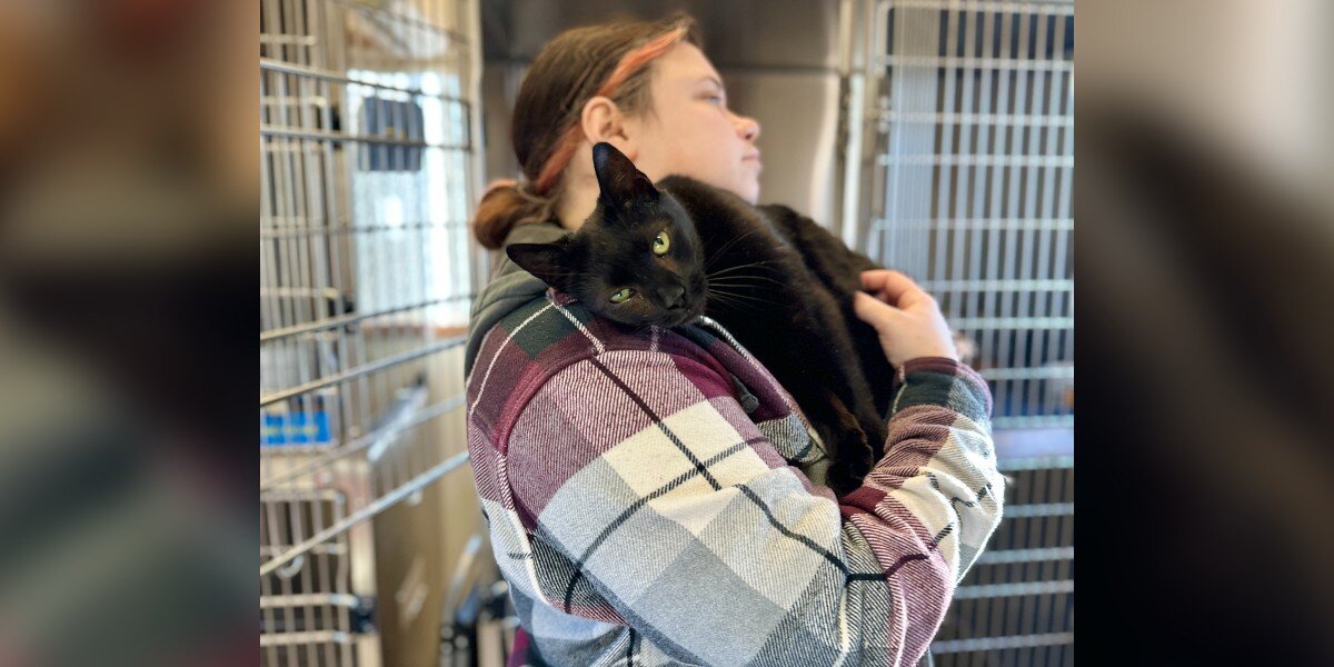 Cat Who Loves To Cuddle Ends Up At Shelter For Being 'Too Affectionate'