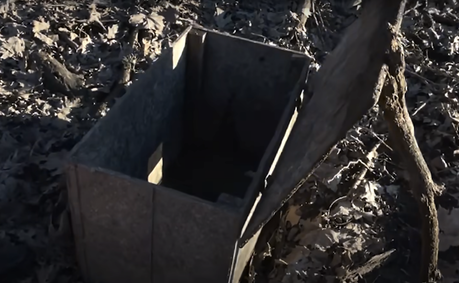 Kayakers Find Box Buried In Mud — Then See Something Moving Inside ...