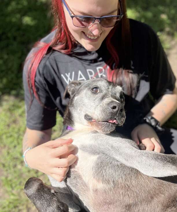 Emotional Photos Show Puppy When He First Arrived At Shelter — And 10 Years Later