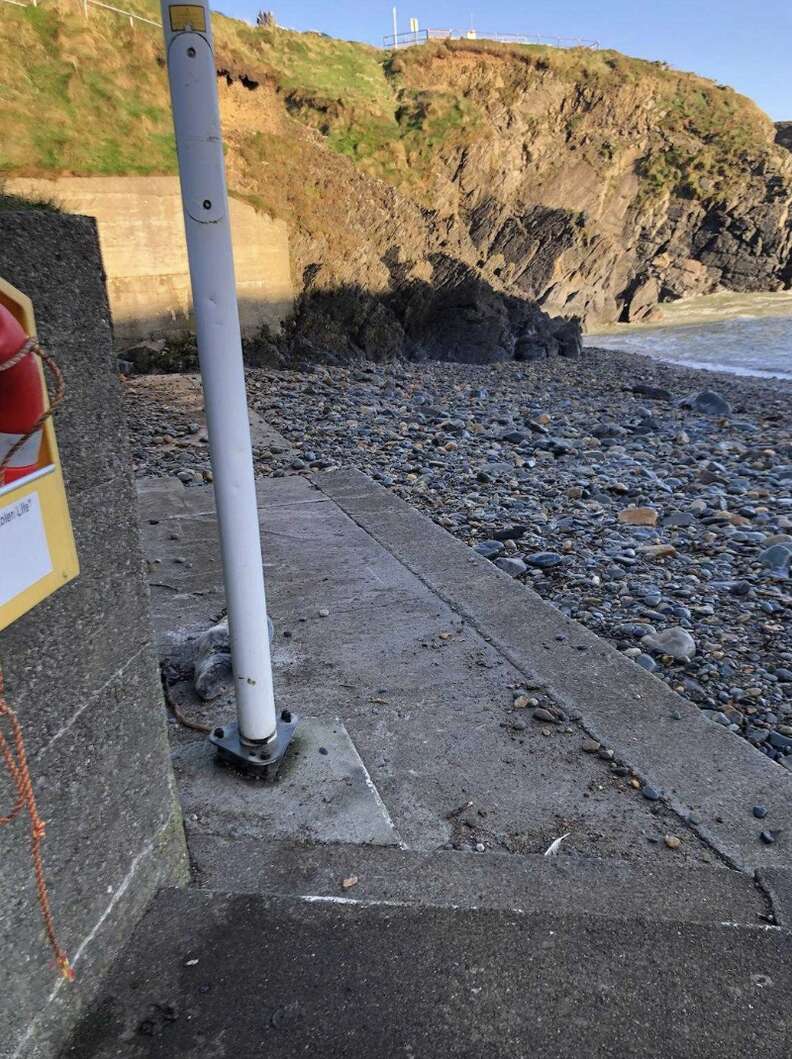 seal on pier