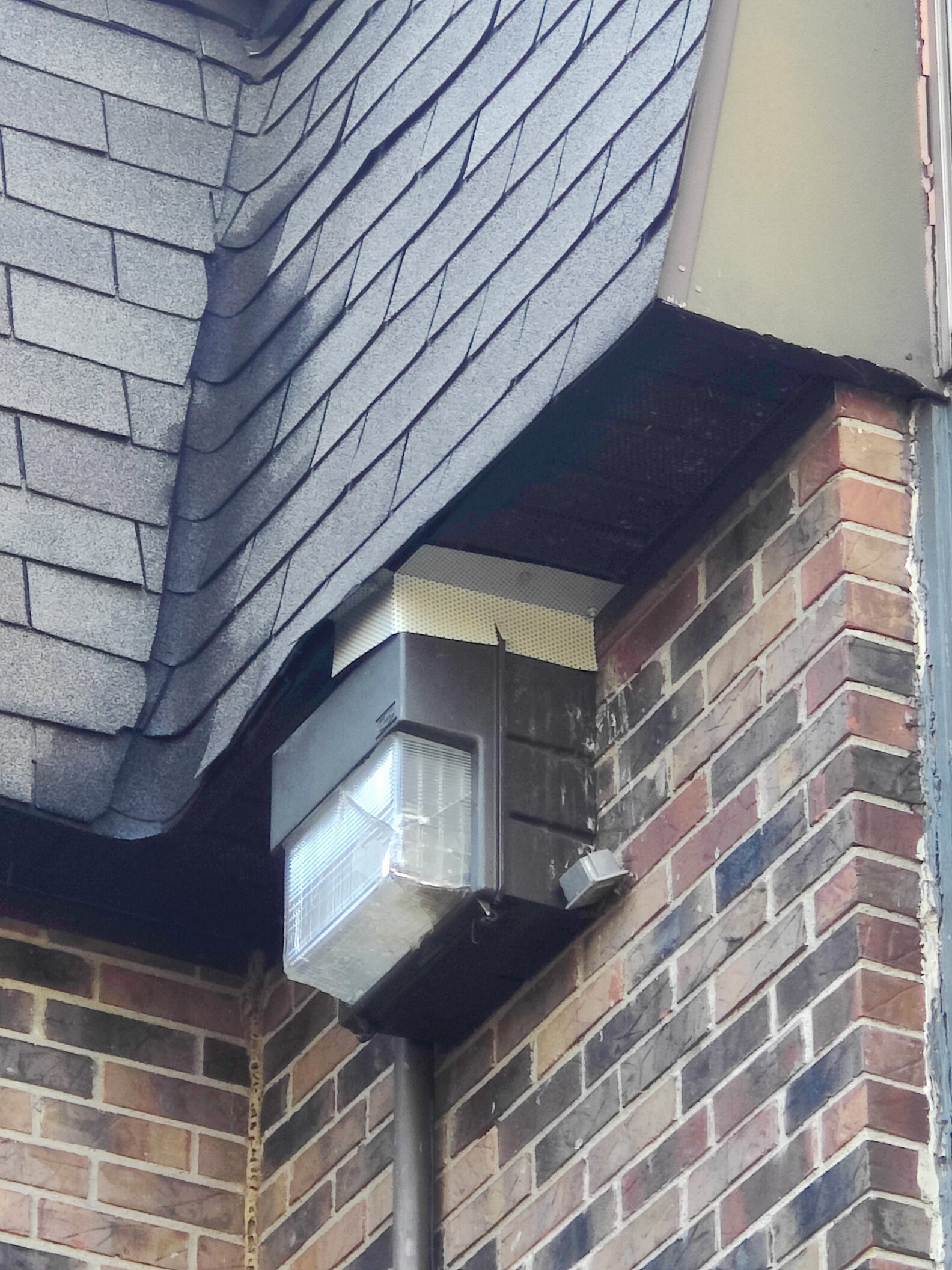 Guy Installs A Little Window To Observe The Squirrel Living In His Wall ...