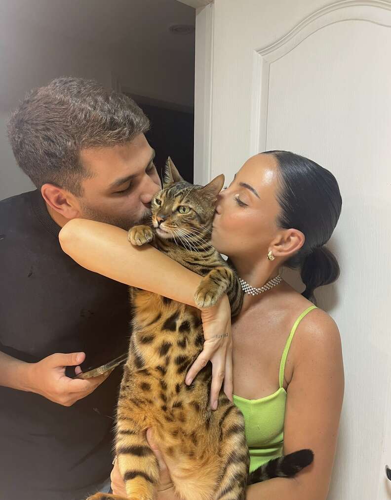 アキレスのご褒美