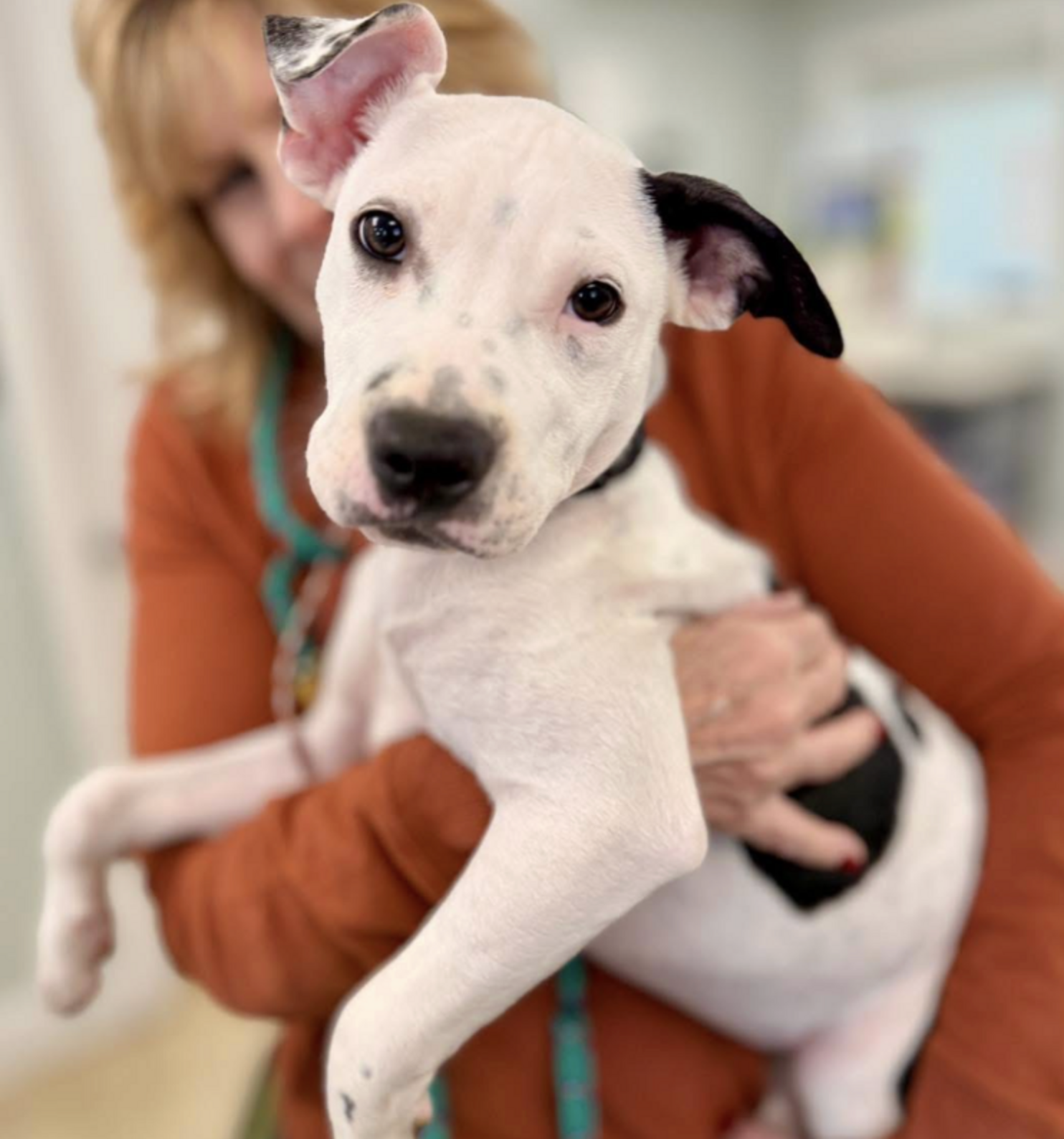 'Last Left Of Her Litter' Doesn't Understand Why Everyone's Been ...