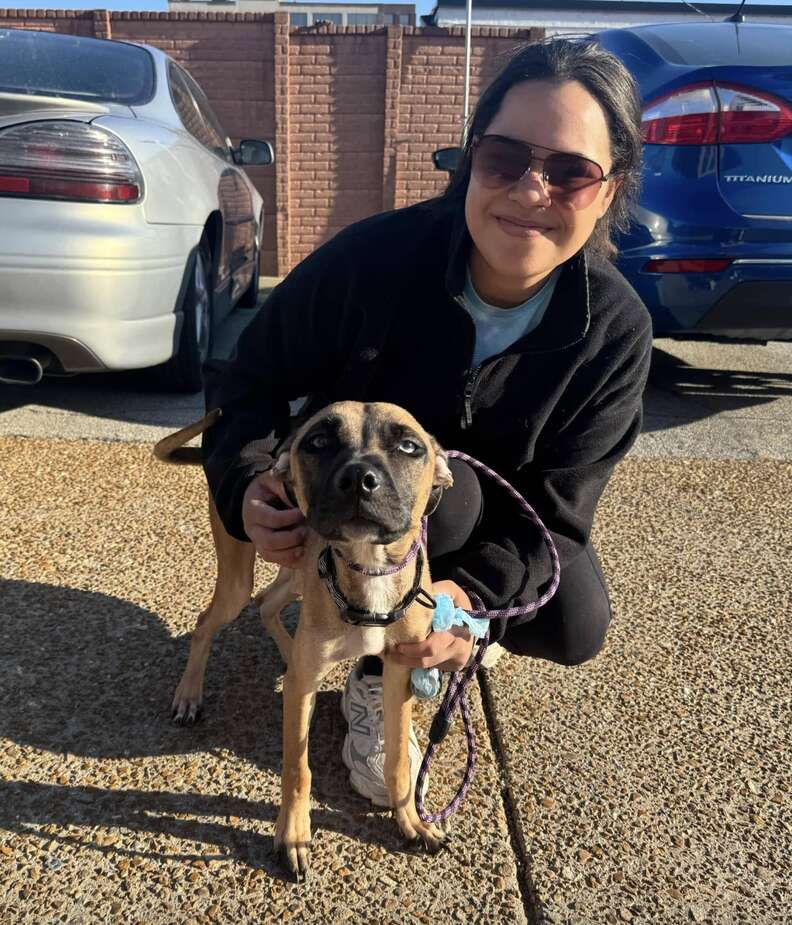 Dog sitting with woman