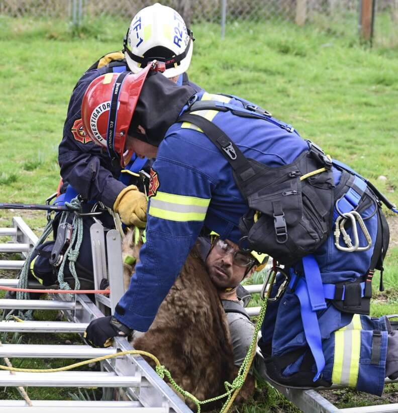rescuers saving dog
