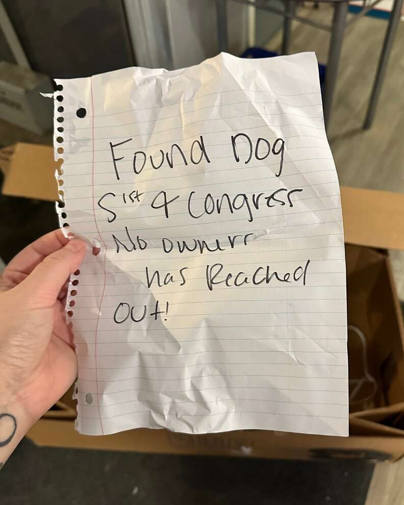 She Was Abandoned In A Cardboard Box With A Note — And A Secret