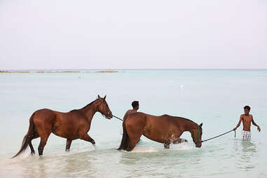 Two mens guide horses through the shores of a white sand beach in Barbados.