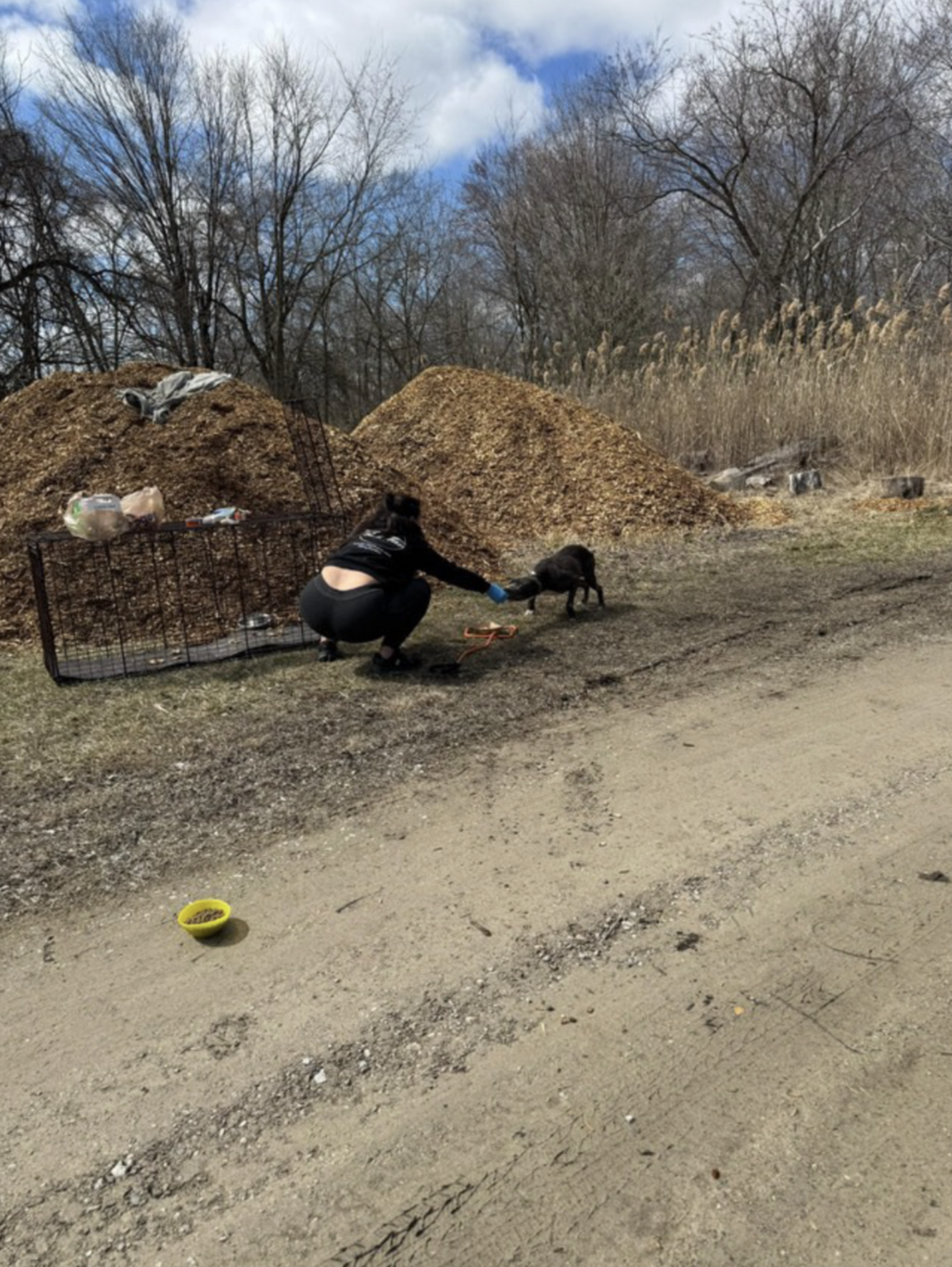 Dog Abandoned On Hiking Trail Waits 5 Days For His Family To Return ...