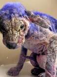 Pup Arrives At Shelter Covered In A Purple Substance — Then Vets Find Out Why