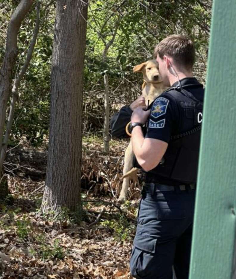 警官が子犬を抱きかかえている写真