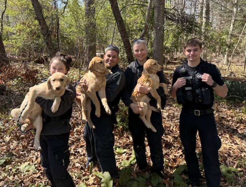 警官たちが子犬を持っている写真