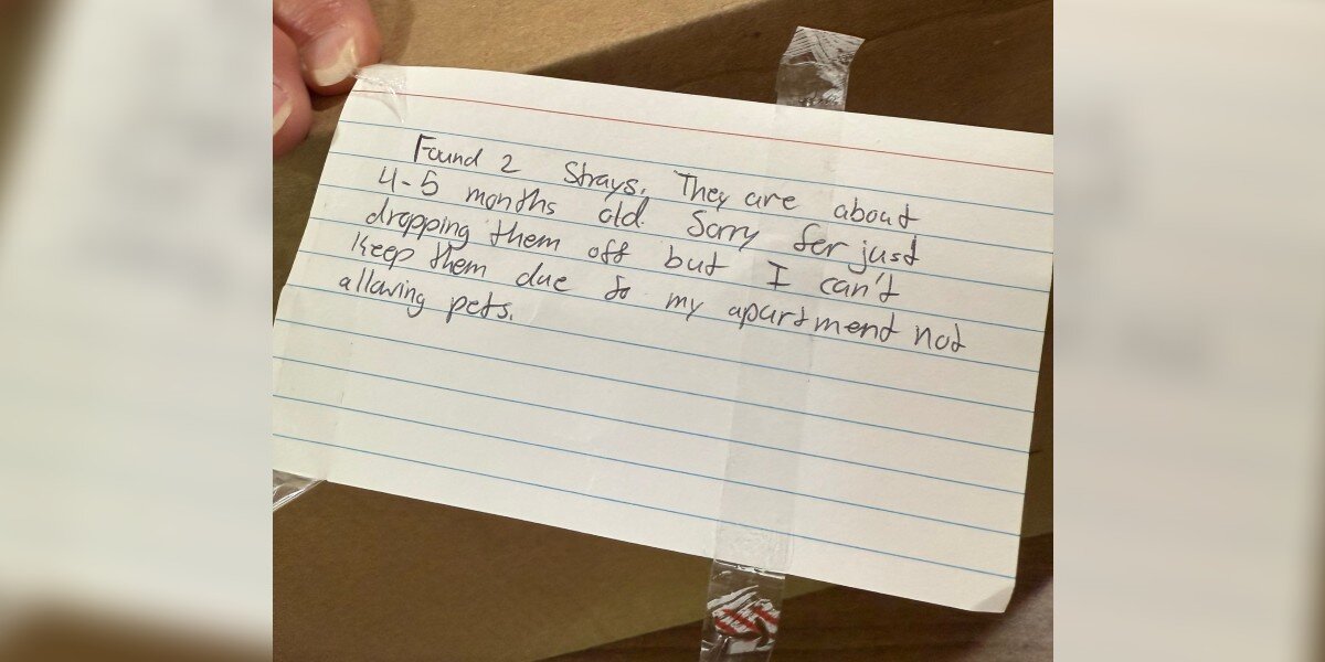 Box Handwritten Notes Handwritten Note On βTaped Upβ Box Leads To Heartbreaking Discovery ...