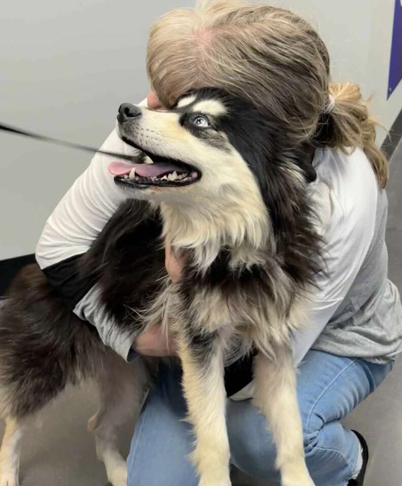 飼い主が犬を抱きしめる感動のシーン