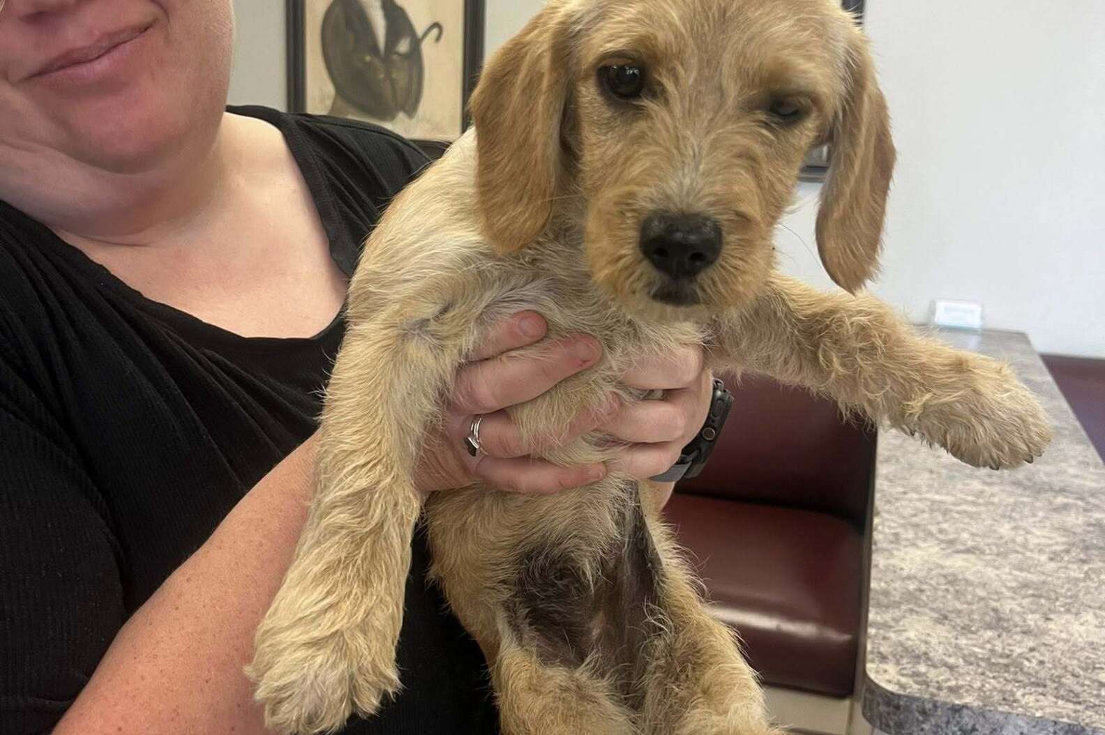 サバンナちゃんの元気な姿