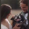 Couple Gives Their 19-Year-Old Dog The Best Last Day By Getting Married