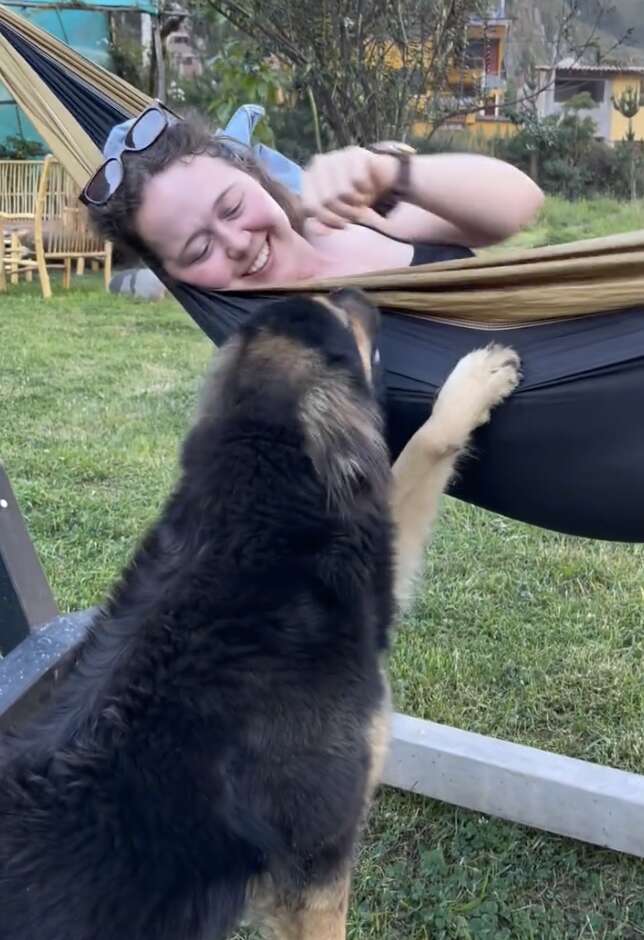 ミレール・ラドリー