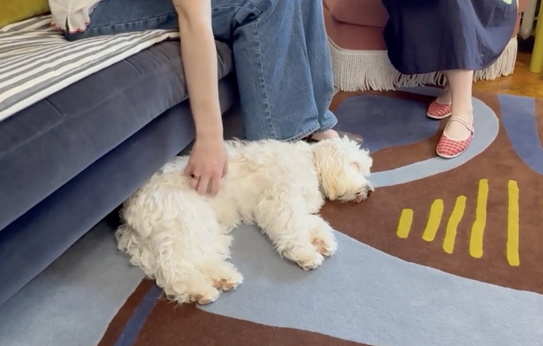 How A Brooklyn Rug Designer Balances Style And A New Rescue Puppy At ...