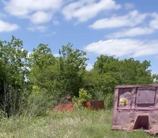 'Little Beaten Path' In Grass Leads Rescuer To A Surprise Family's Hiding Spot