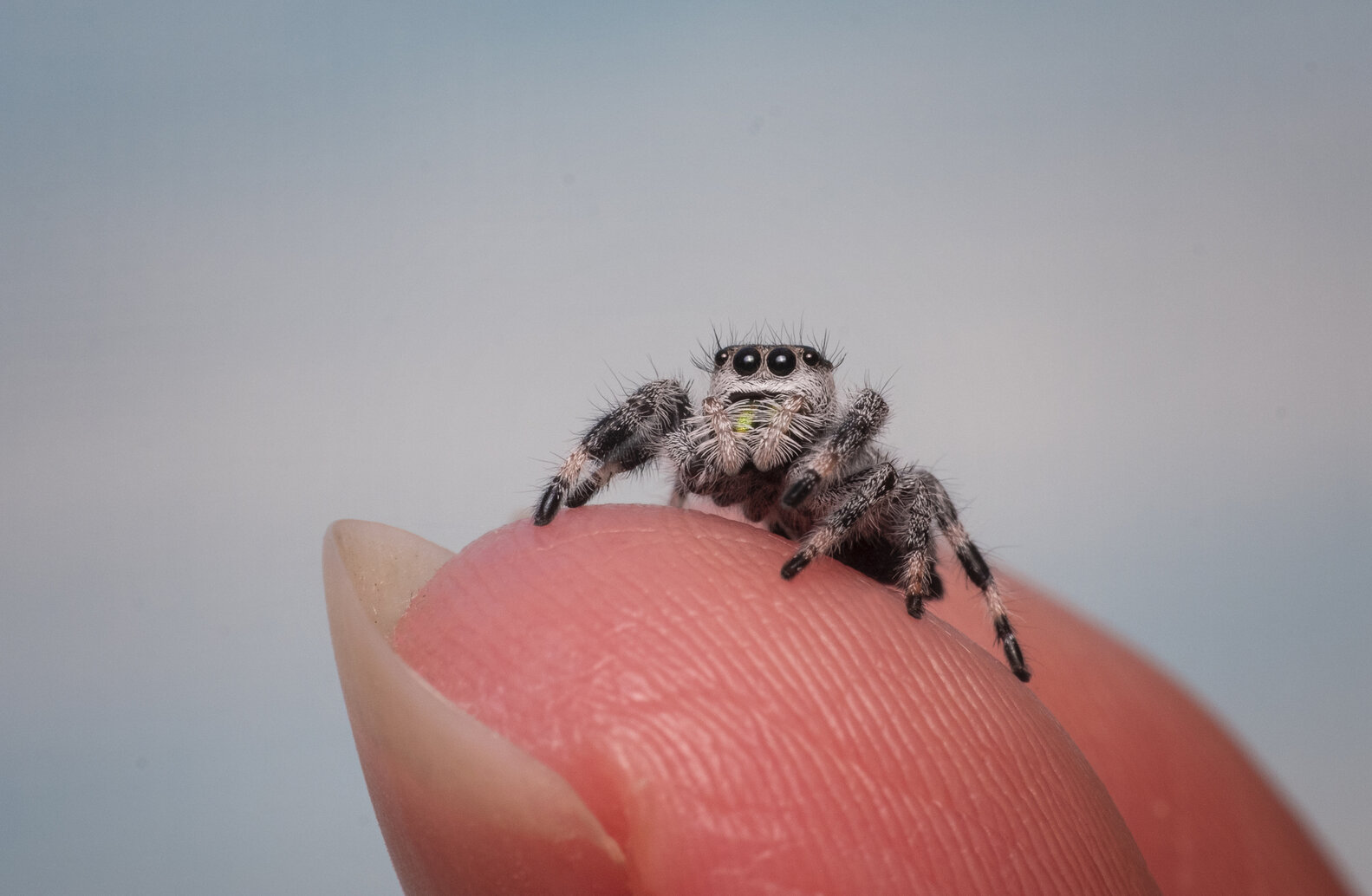 Postal Worker Discovers Note Protecting Tiny Animal Living In Mailbox ...