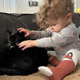 This Blind Toddler And Her Feisty ‘Seeing-Eye Cat’ Are Inseparable