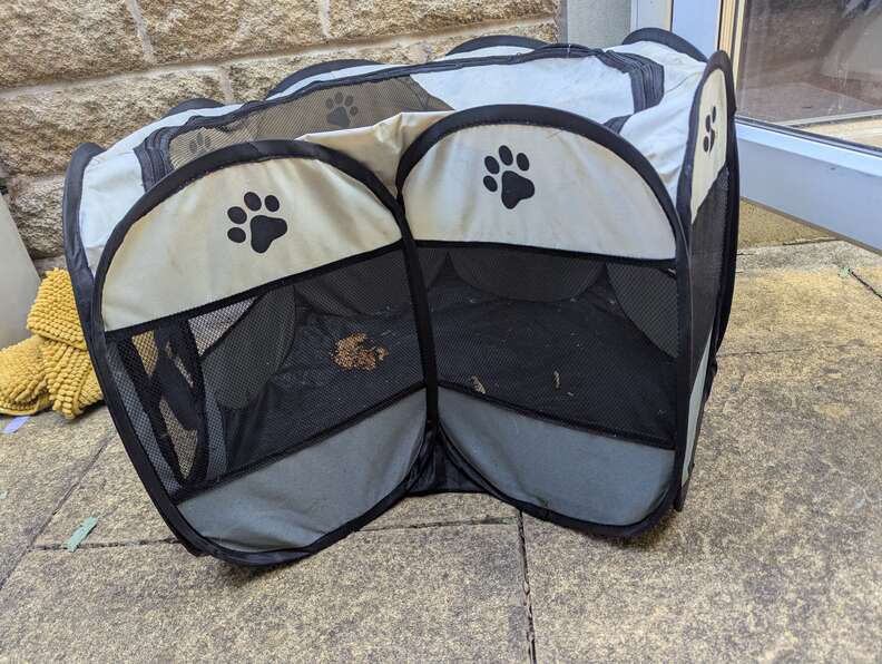 Abandoned playpen with kittens discovered inside
