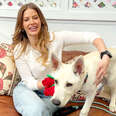 Ariana Madix Braves The Heart Rate Challenge With Her Puppy Dream Date