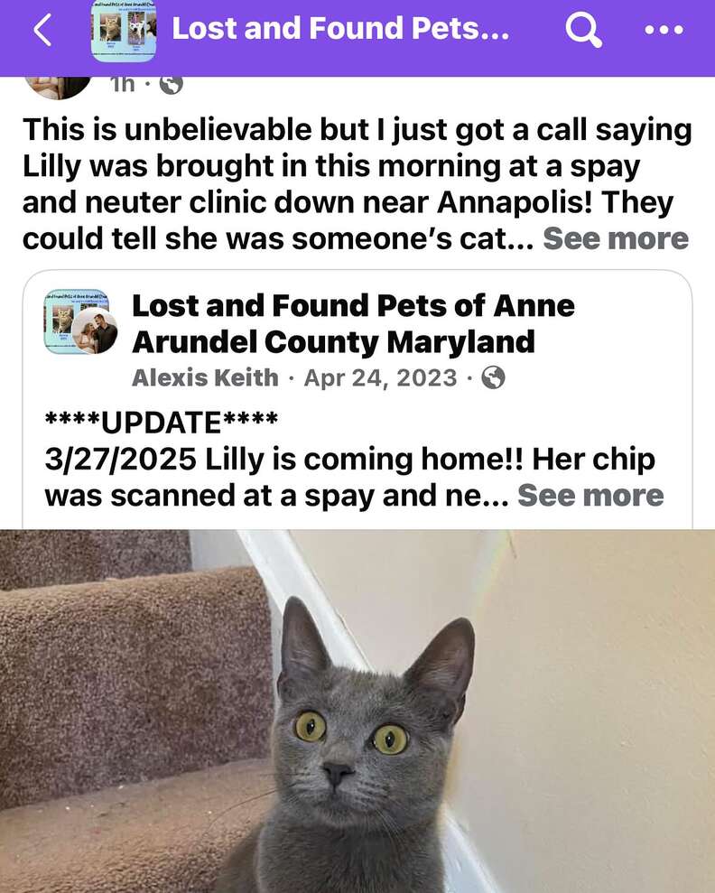 Lilly recovering at the clinic