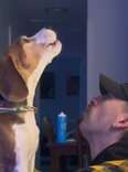 This Lab Beagle Was Never Supposed To Howl — Now He's Finally Learning How