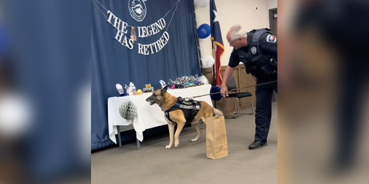 Cops Plan The Sweetest Surprise For K-9 Officer's Last Day On The Job ...