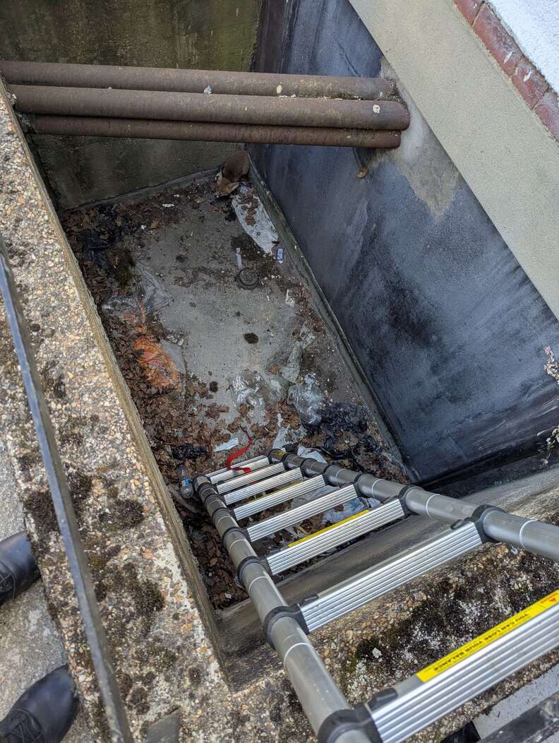 Nurses Shocked When They Spot Someone Shivering At The Bottom Of Hospital Drain