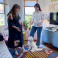 How A Rug Designer Welcomes A Puppy Into Her Brooklyn Apartment