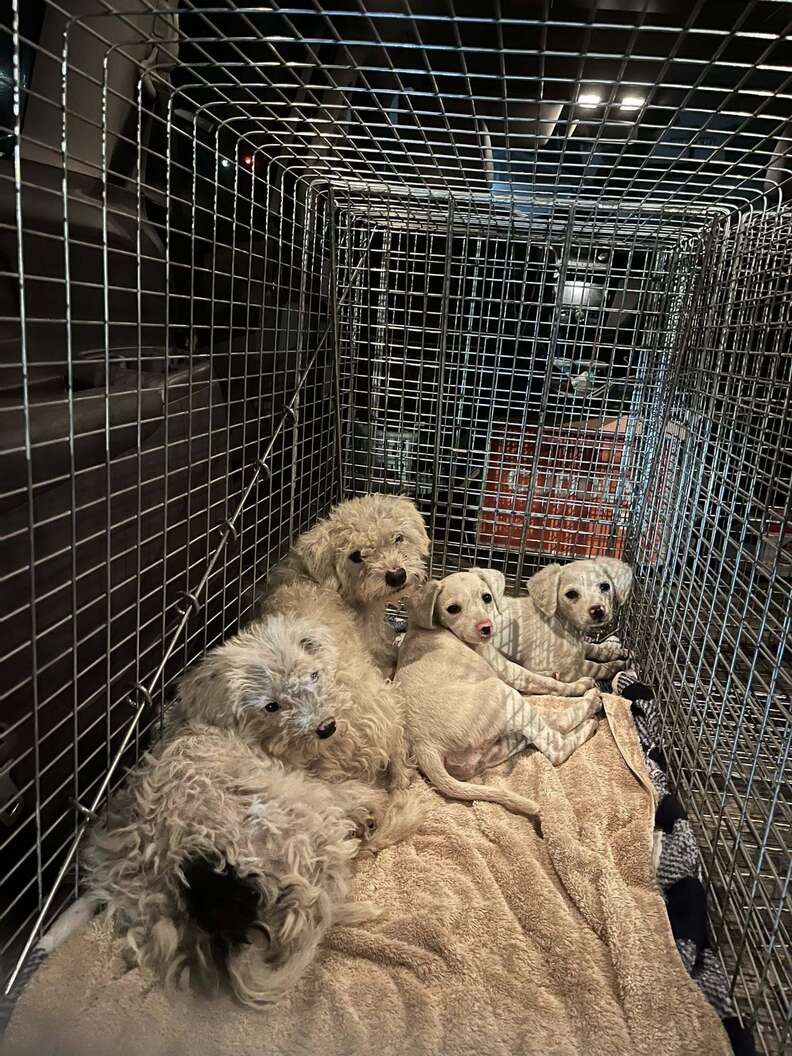 状態の確認