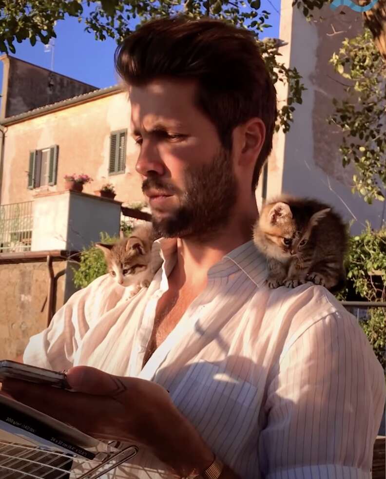アーティストと子猫たち