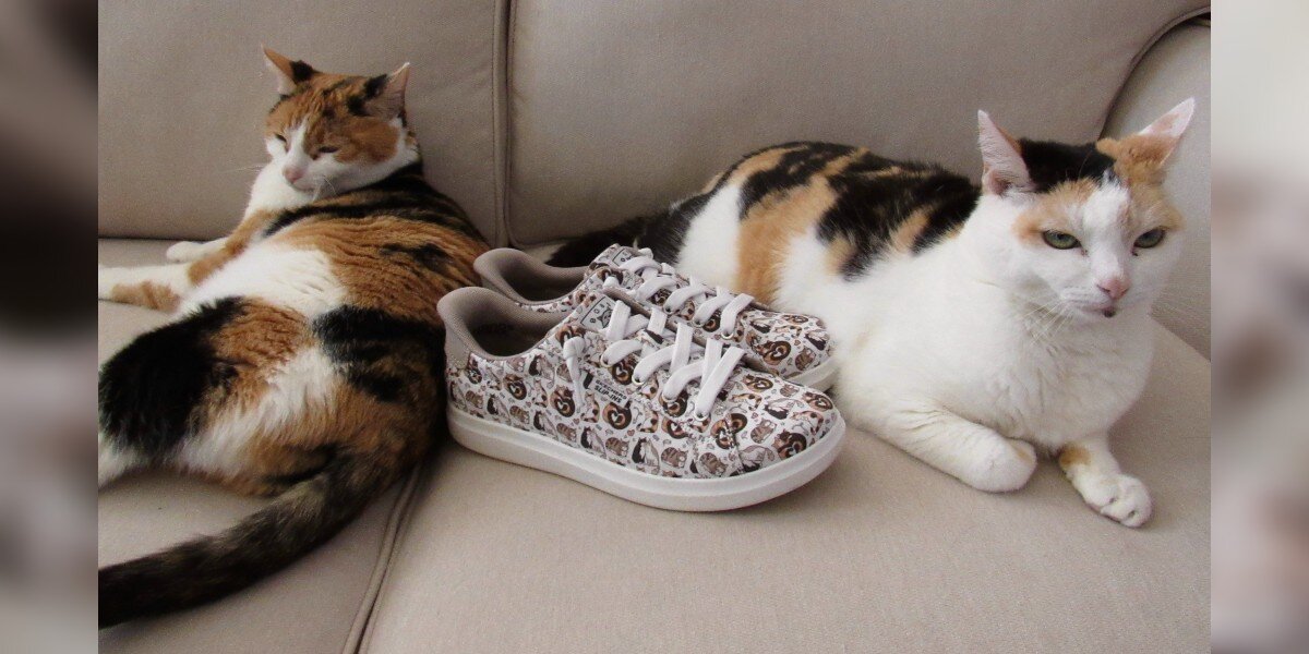 Students Win BOBS® from Skechers® Scholarship Sharing How Rescue Pets Changed Their Lives