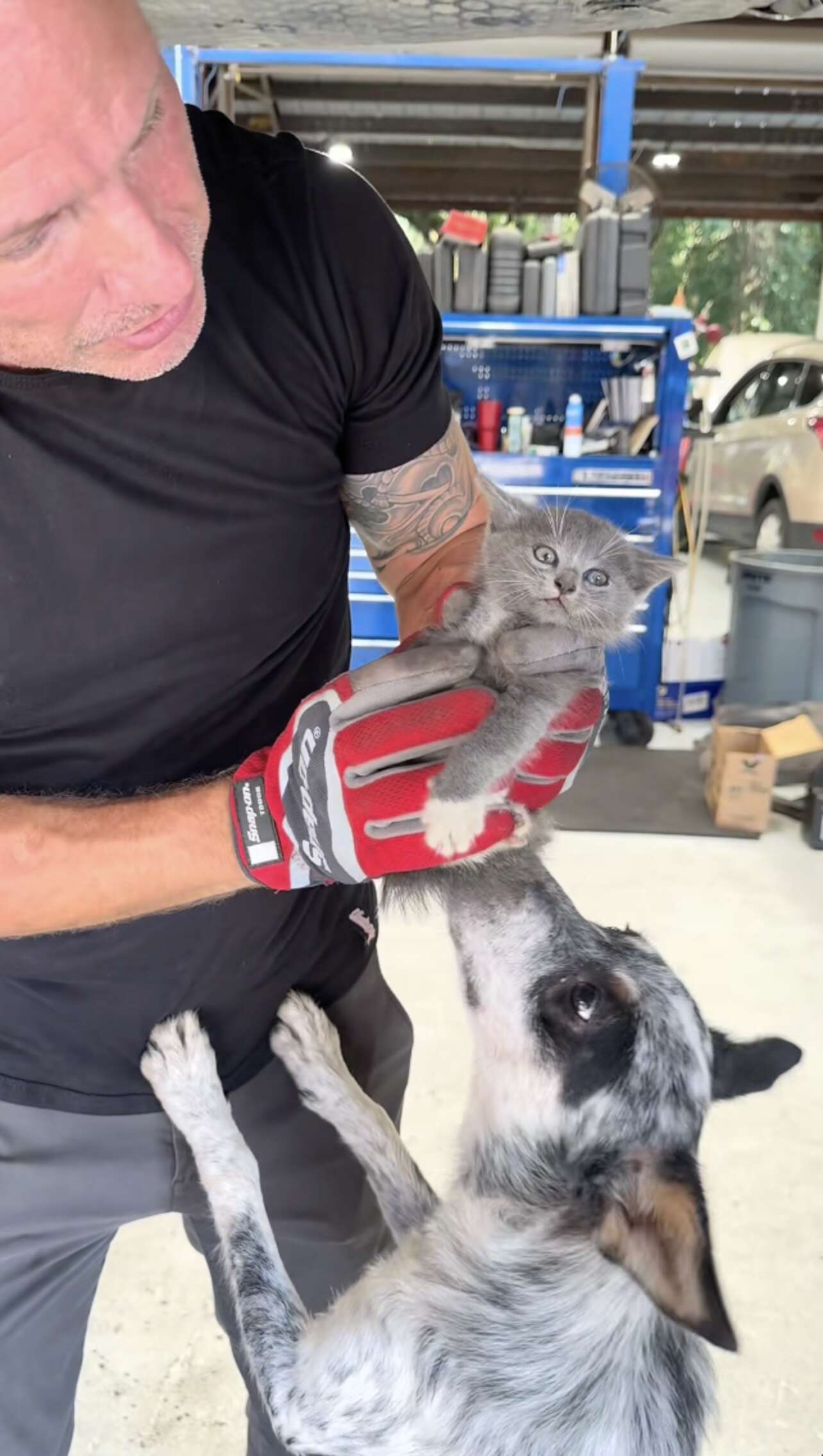 Machanic Crying Mechanic Hears A Faint Cry In Car And Pulls Someone Tiny Out Of The ...