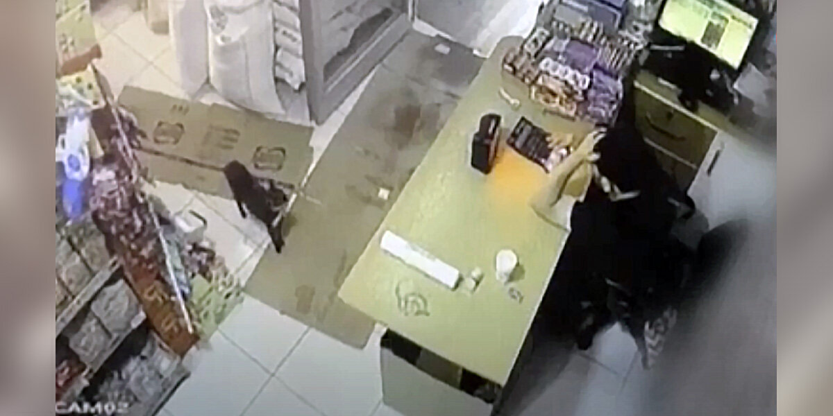 Sneaky Cat Pranks Shopkeeper And Reasons Him To Query His Sanity