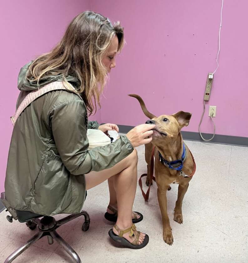 woman feeding dog