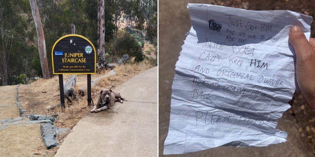 Woman Finds Dog Left Tied To Park Sign — Then Reads The Heartbreaking Note From His Family