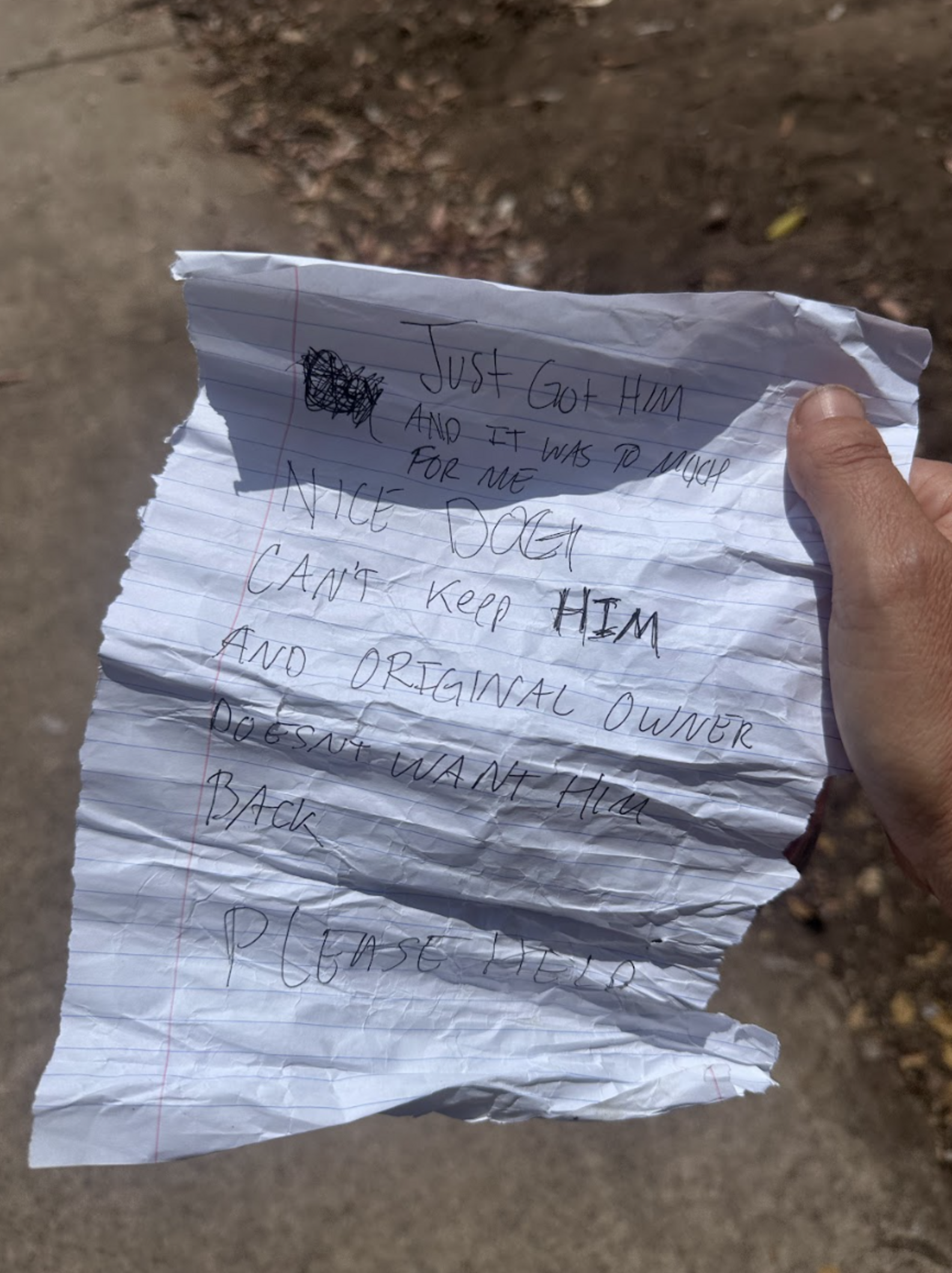 Woman Finds Dog Left Tied To Park Sign — Then Reads The Heartbreaking ...