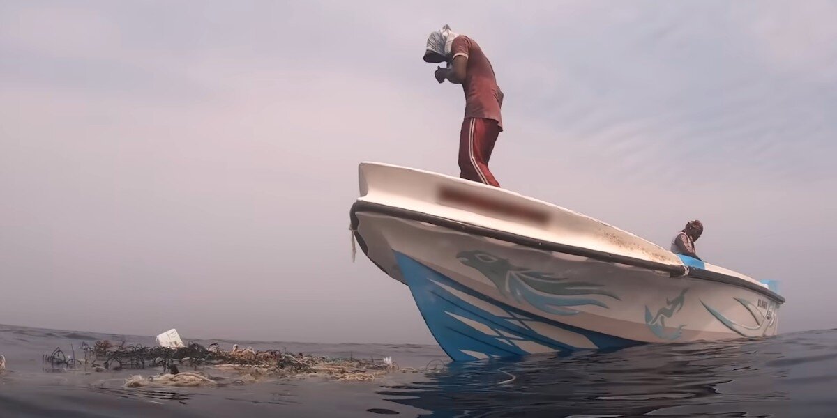 Whale Watching Tour Sees Floating Pile Of Trash — With Someone Trapped Inside Whale Watching Tour Sees Floating Pile Of Trash — With Someone Trapped Inside