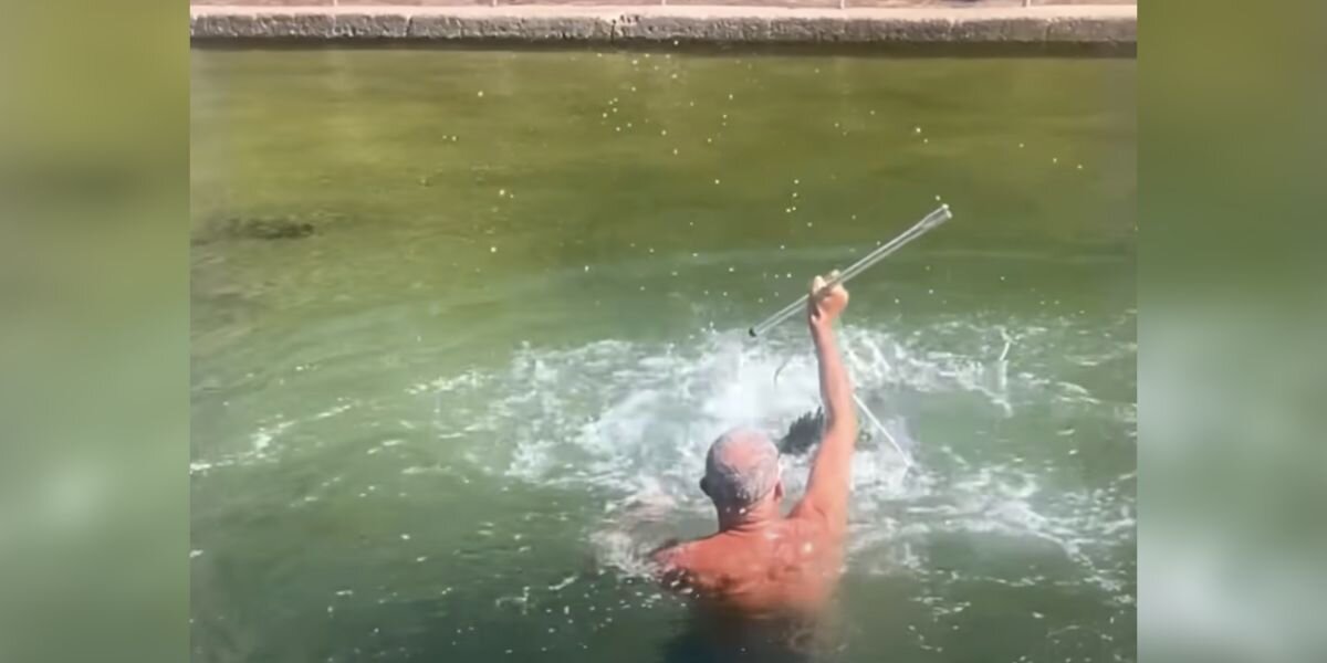 Surfer Leaps Into Tidal Pool And Saves ‘Puppy Dog Of The Ocean’ Trapped Inside Surfer Leaps Into Tidal Pool And Saves ‘Puppy Dog Of The Ocean’ Trapped Inside