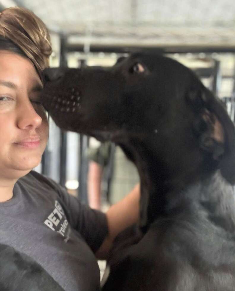 dog kissing person