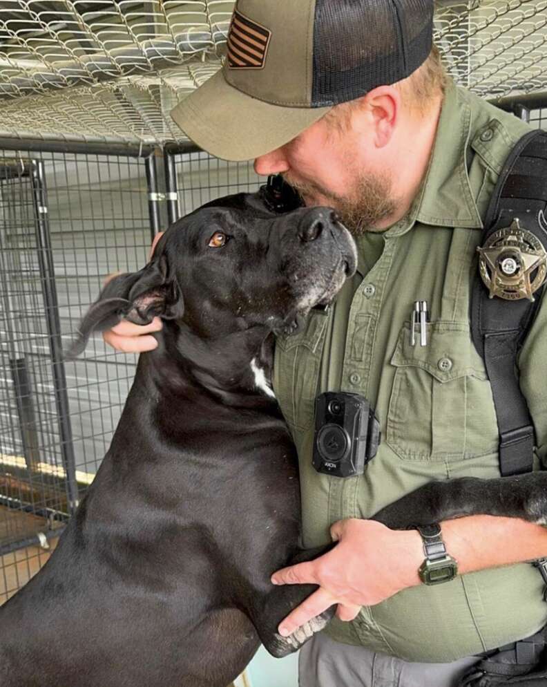 dog hugging man
