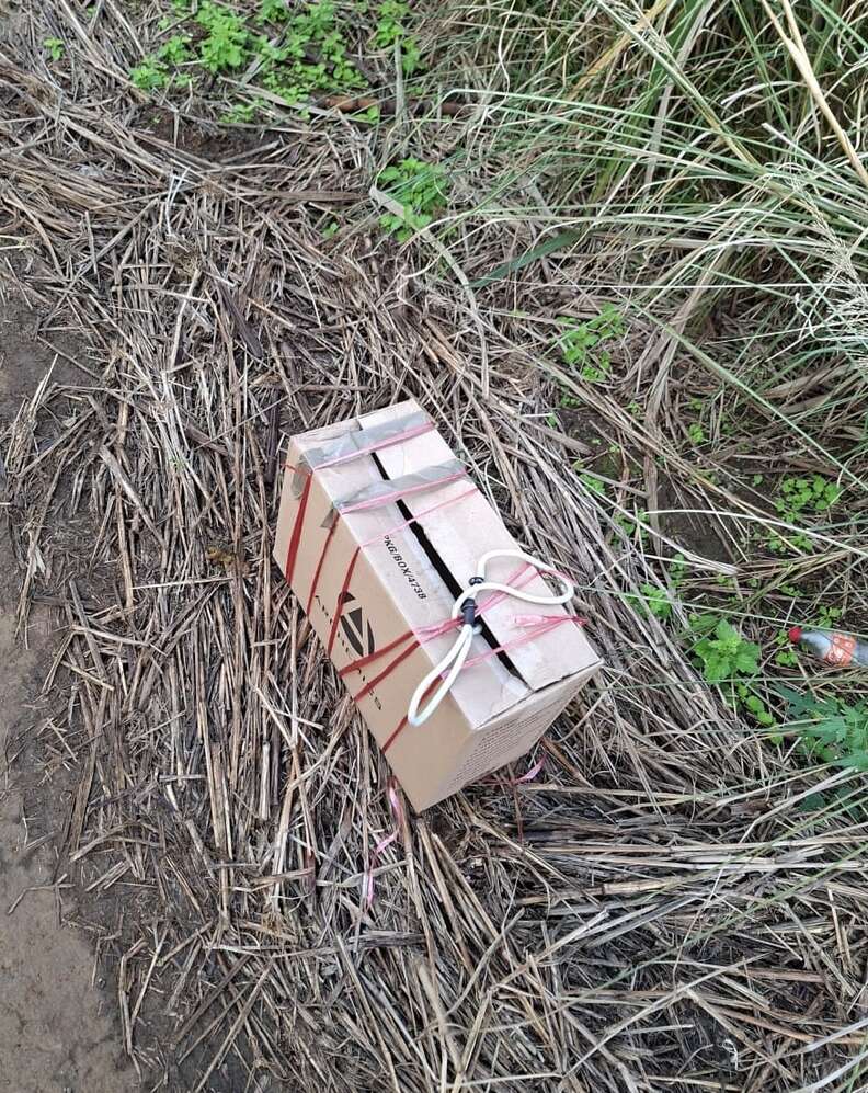 box in the grass